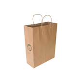 BROWN PAPER BAG MED SHOP TWIST 260X350X100 EACH