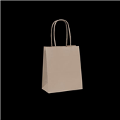 Brown Paper Bag Twist Handle 2 16X14cm 50Pk