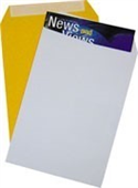 CUMBERLAND ENVELOPES POCKET C5 229X162 85GSM STRIP SEAL GOLD BOX 500