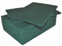 Edco Scourer Pad 23X14cm Green 10 Pack