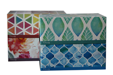 Facial Tissues 2Ply 180Pack 36Carton