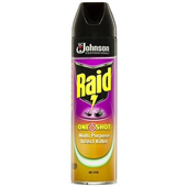 Raid One Shot Insect Killer Citrus 375G